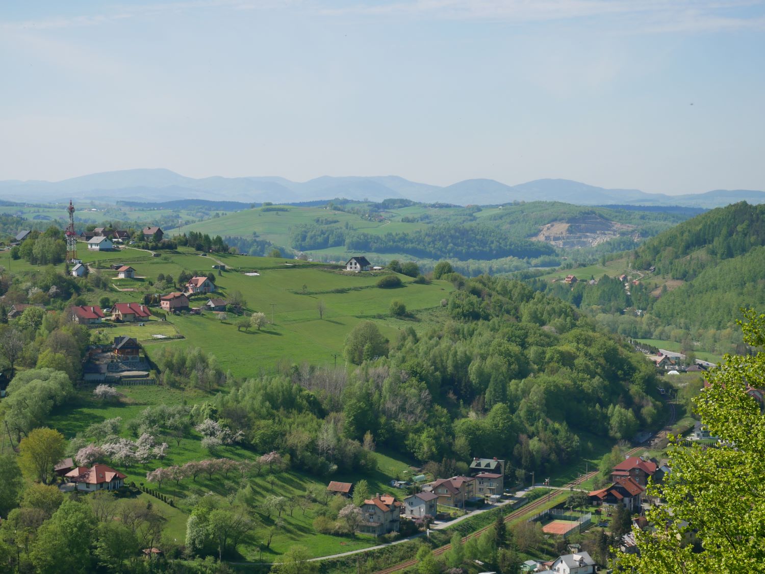 P1080179.JPG