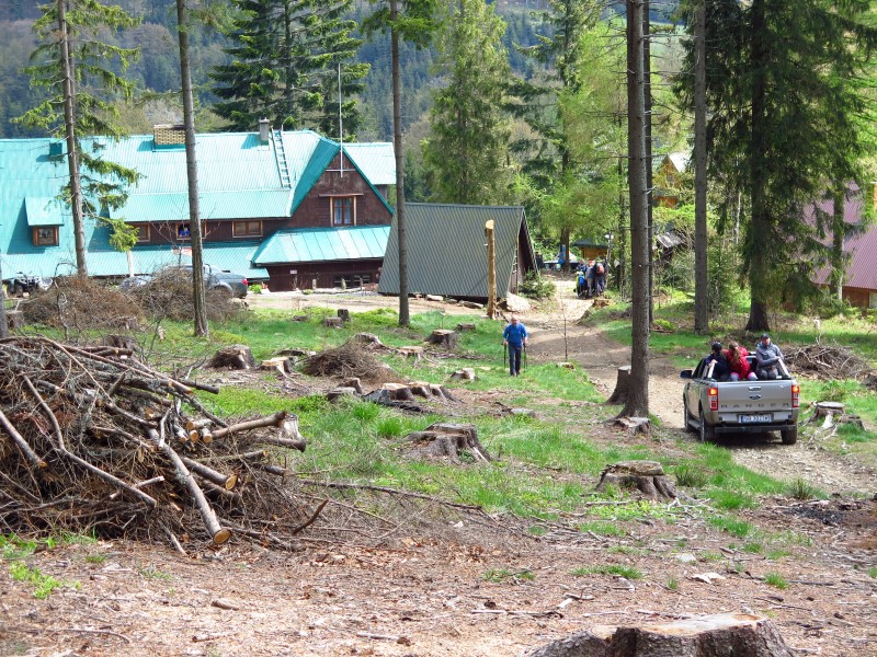 IMG_9352 (Custom).JPG