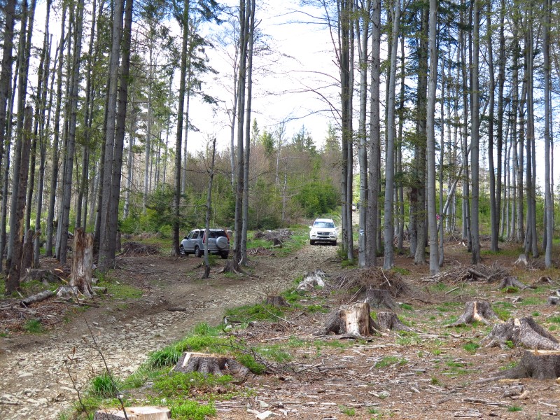 IMG_9353 (Custom).JPG