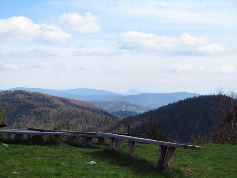 IMG_9385 (Custom).JPG