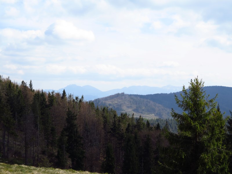 IMG_9397 (Custom).JPG