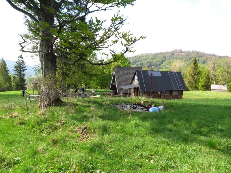 IMG_9444 (Custom).JPG