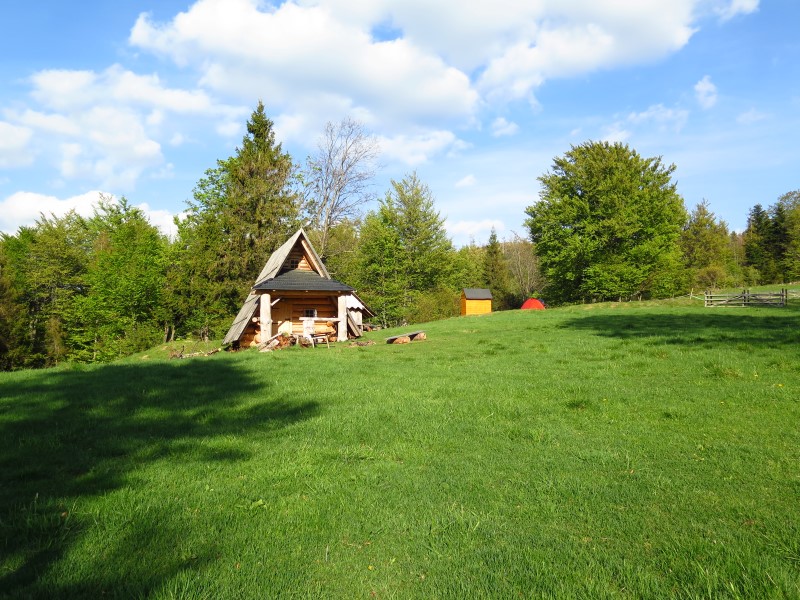 IMG_9475 (Custom).JPG