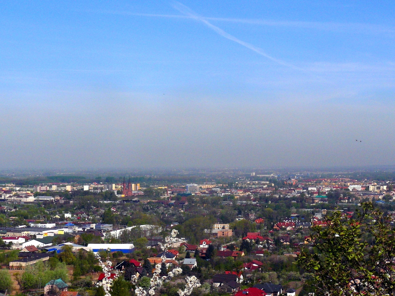 P1100003.JPG