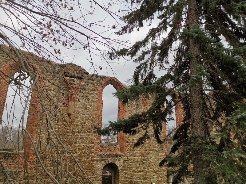 DSC_0100d (Kopiowanie).jpg