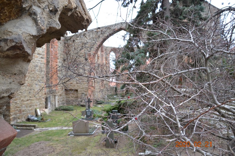 DSC_0112 (Kopiowanie).JPG