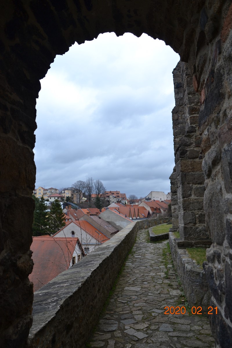 DSC_0119 (Kopiowanie).JPG