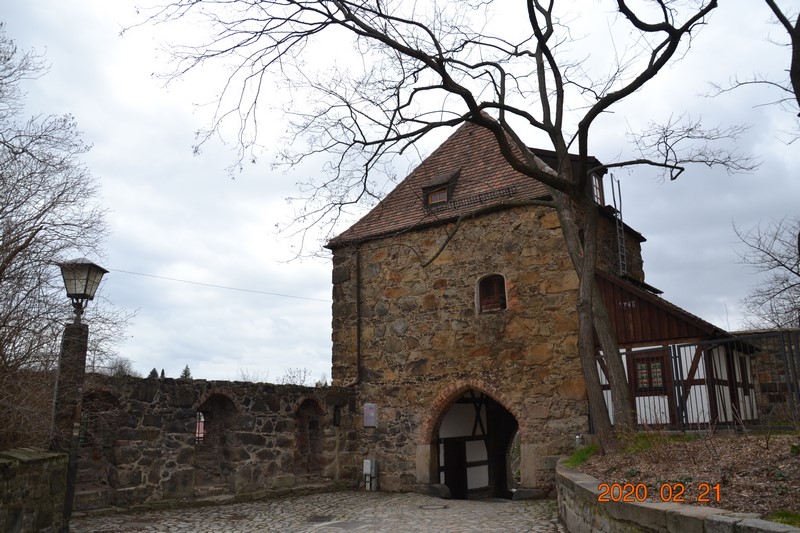 DSC_0220 (Kopiowanie).JPG