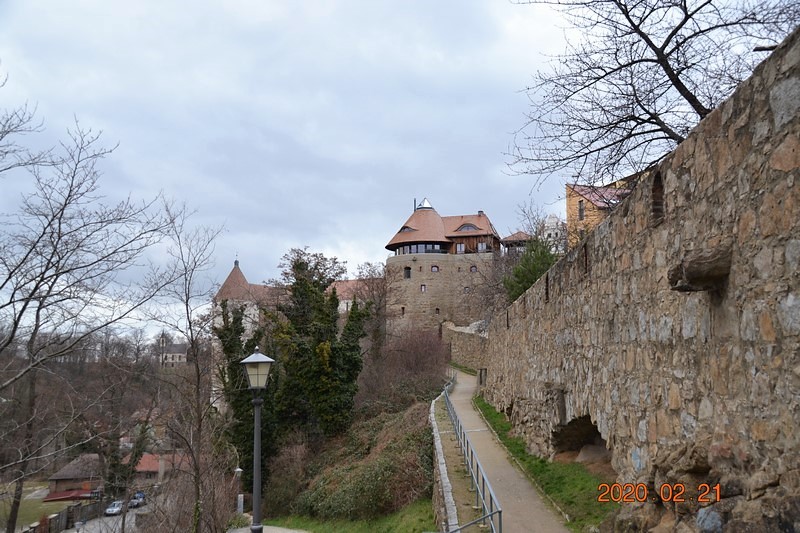 DSC_0229 (Kopiowanie).JPG