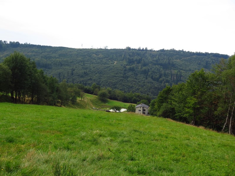 IMG_9856 (Custom).JPG