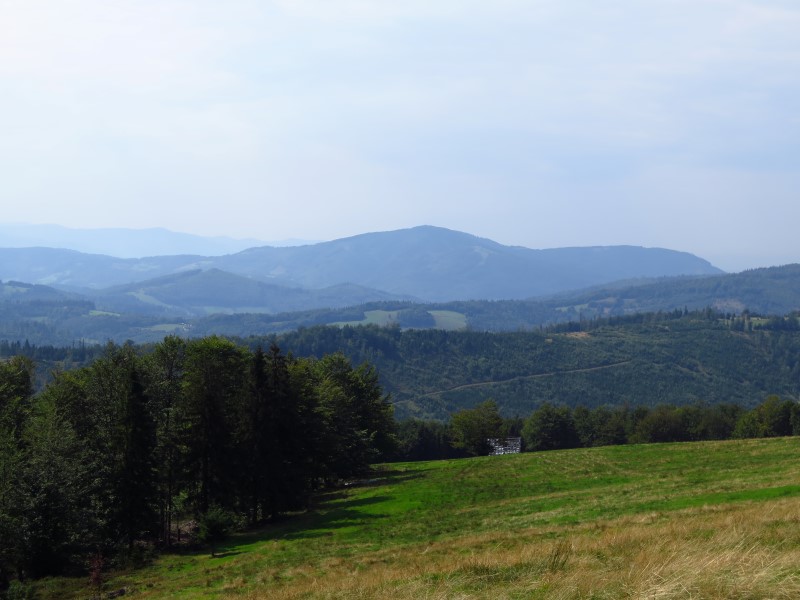 IMG_9878 (Custom).JPG