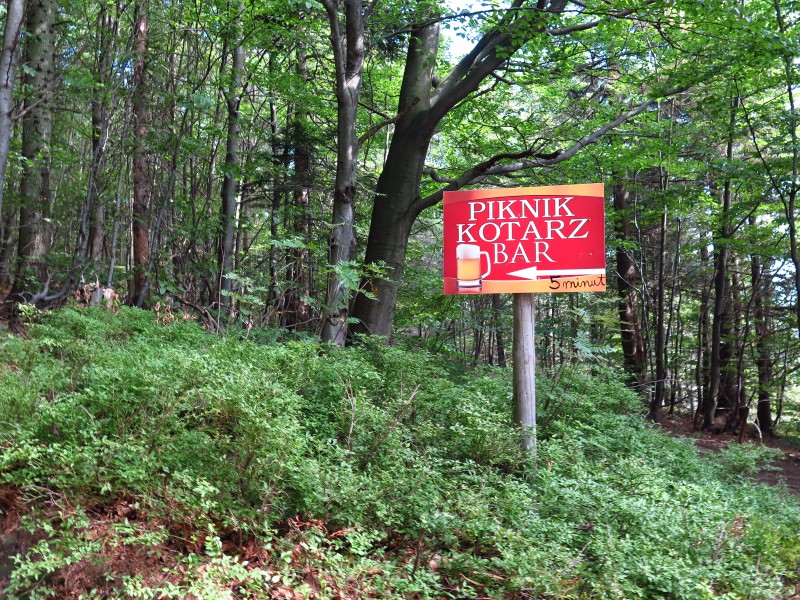 IMG_9888 (Custom).JPG