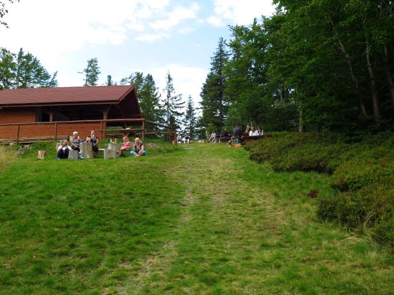 IMG_9915 (Custom).JPG