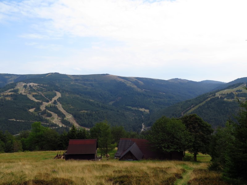 IMG_9897 (Custom).JPG