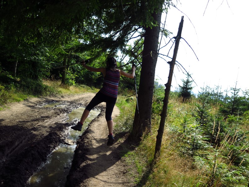 IMG_9932 (Custom).JPG