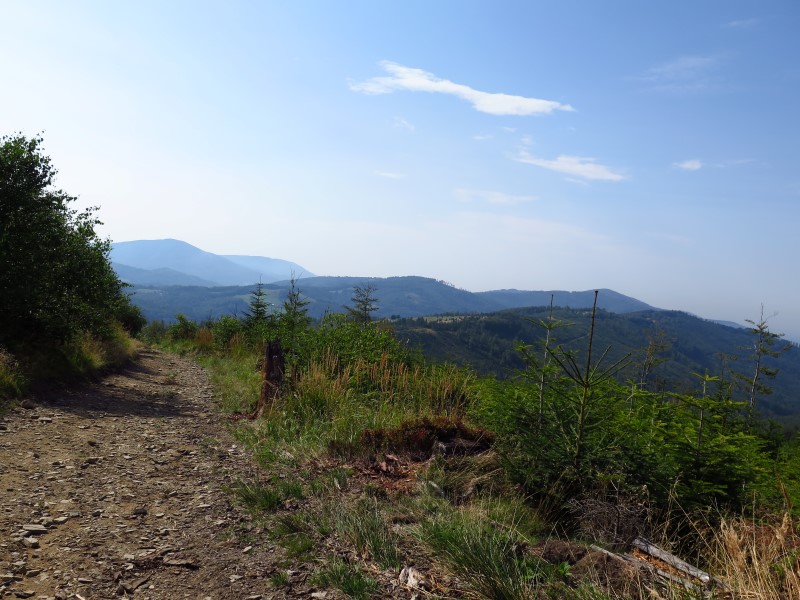 IMG_9935 (Custom).JPG