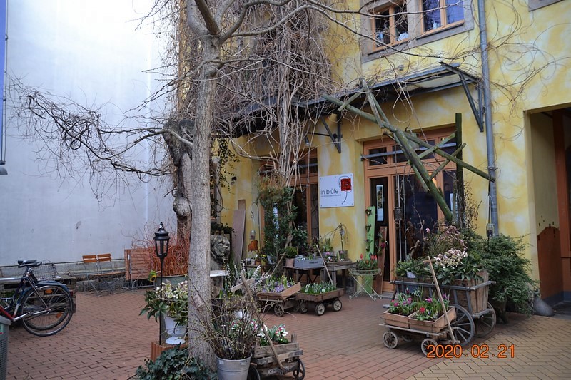 DSC_0372 (Kopiowanie).JPG