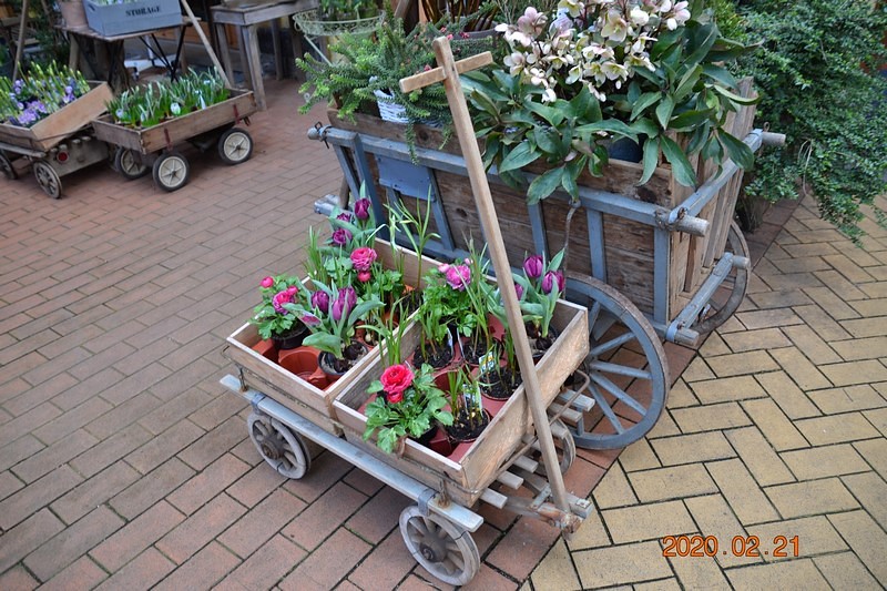 DSC_0374 (Kopiowanie).JPG