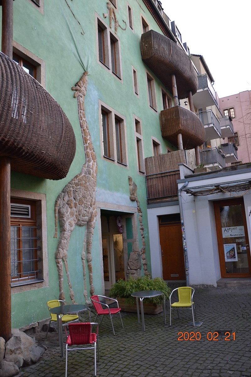 DSC_0383 (Kopiowanie).JPG