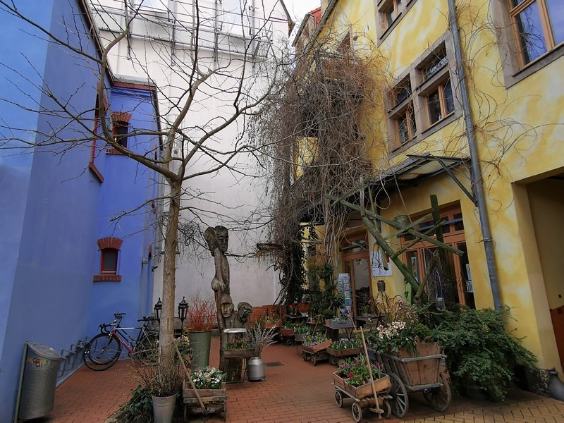 DSC_0386c (Kopiowanie).jpg