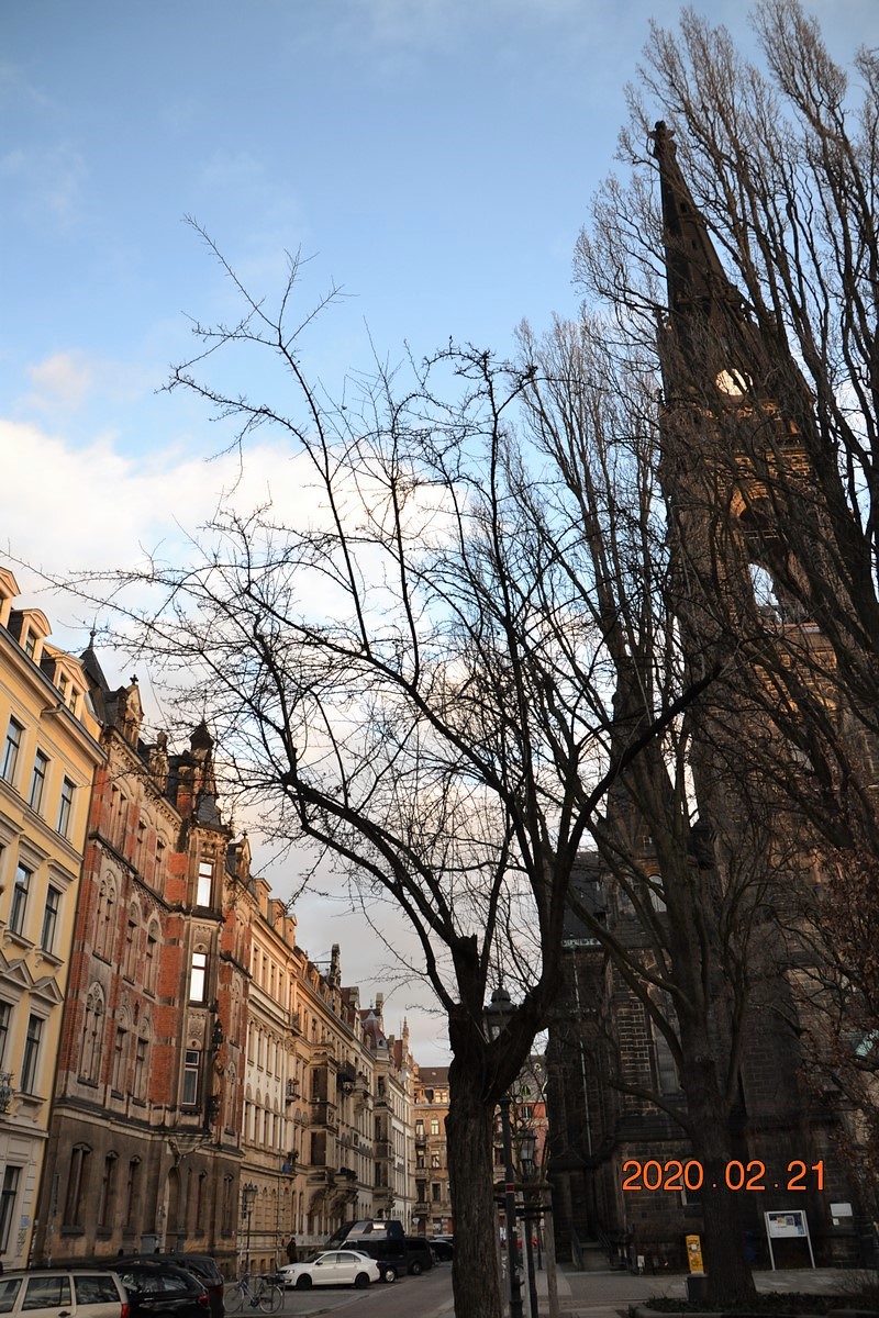 DSC_0405 (Kopiowanie).JPG