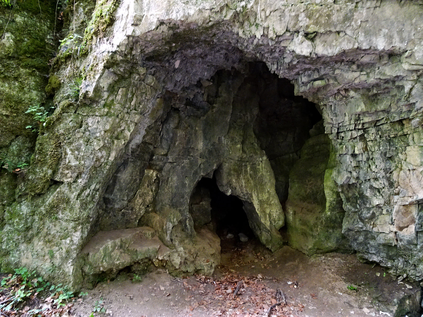 DSC06119.JPG