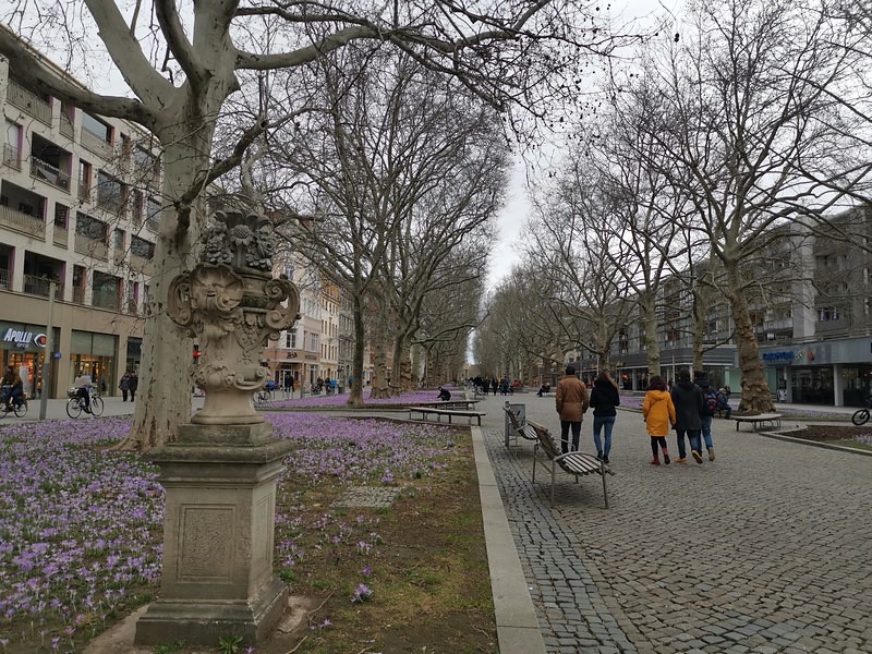 DSC_0618 (Kopiowanie).jpg