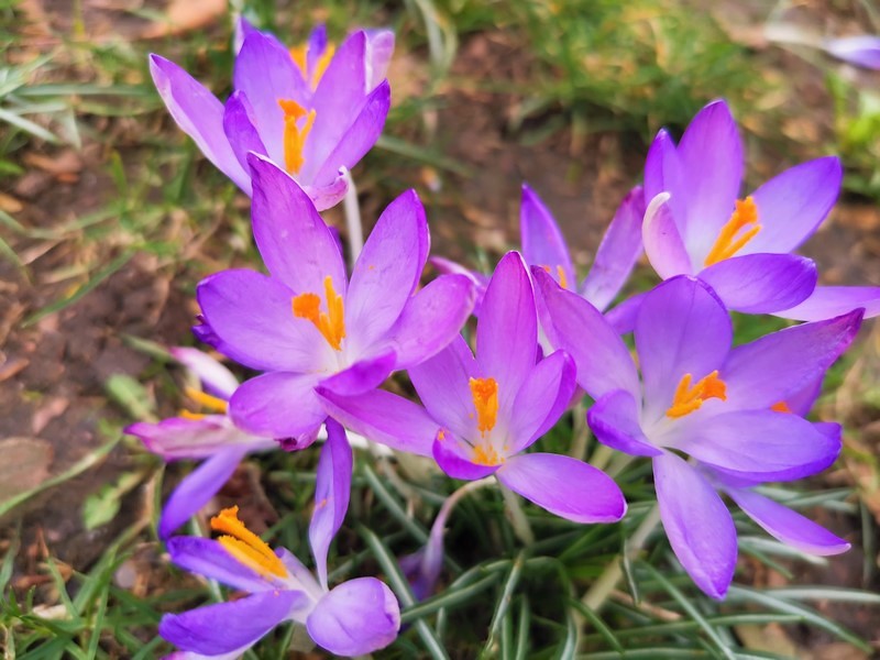 DSC_0620cc (Kopiowanie).jpg