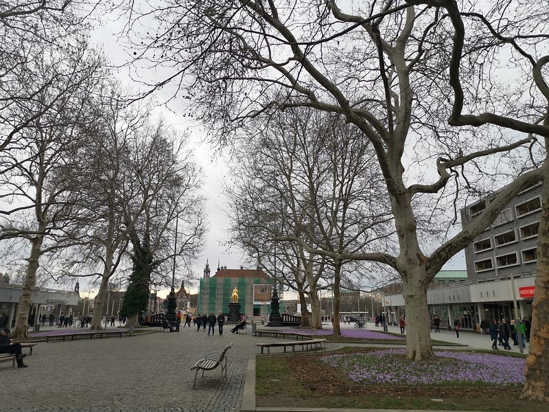 DSC_0620d (Kopiowanie).jpg