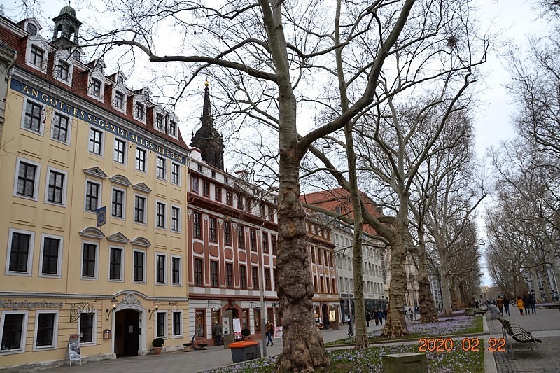 DSC_0621 (Kopiowanie).JPG