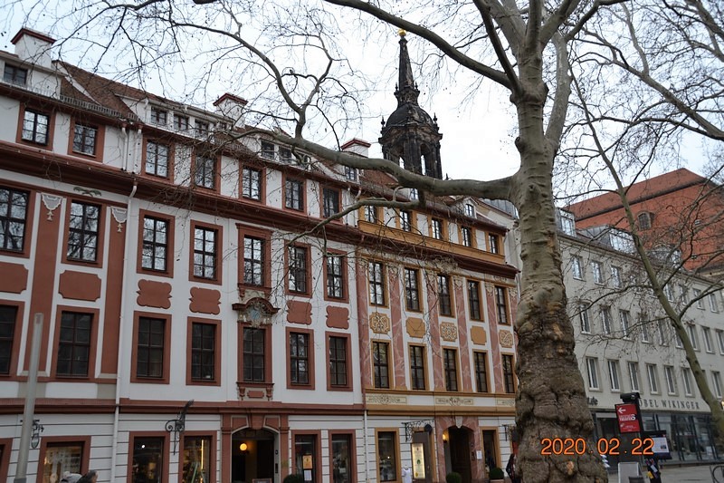 DSC_0623 (Kopiowanie).JPG