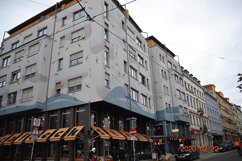 DSC_0660 (Kopiowanie).JPG