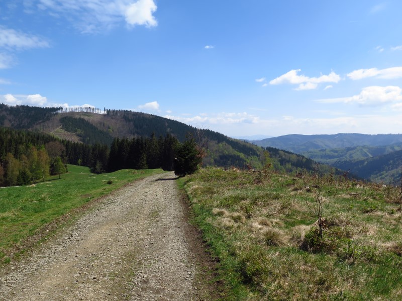 2019-05-01-12h15m28 (Custom).JPG