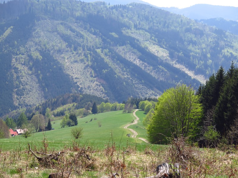 2019-05-01-12h17m12 (Custom).JPG