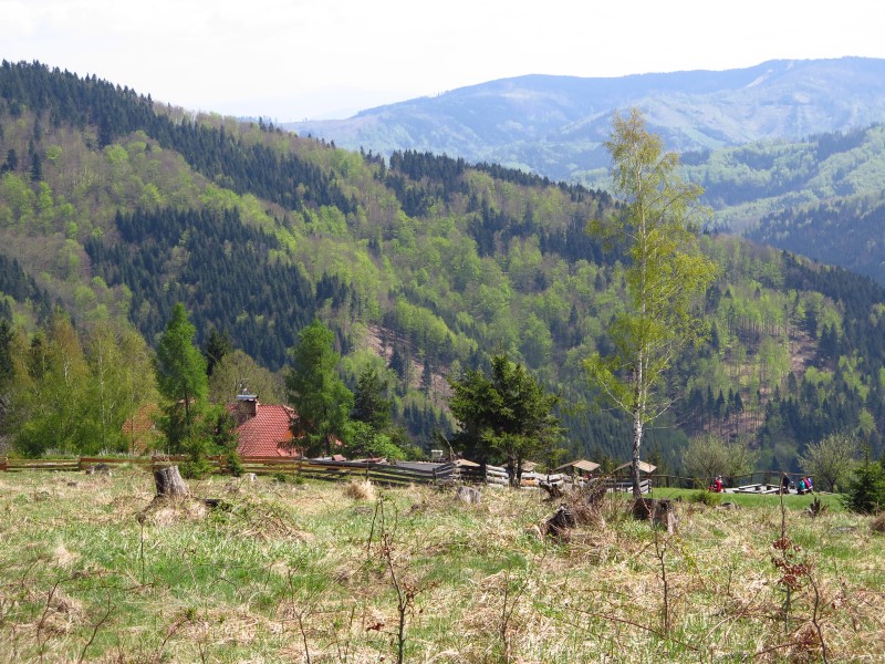 2019-05-01-12h17m33 (Custom).JPG