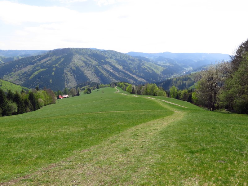 2019-05-01-12h32m37 (Custom).JPG