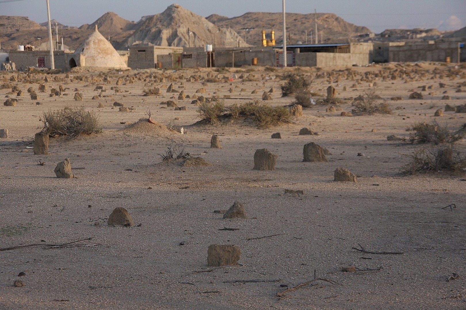 QSM.jpg