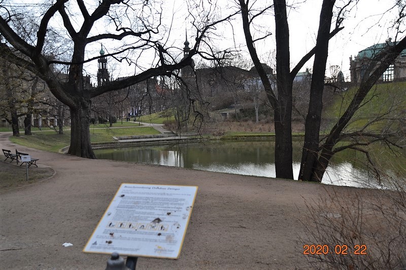 DSC_0459 (Kopiowanie).JPG