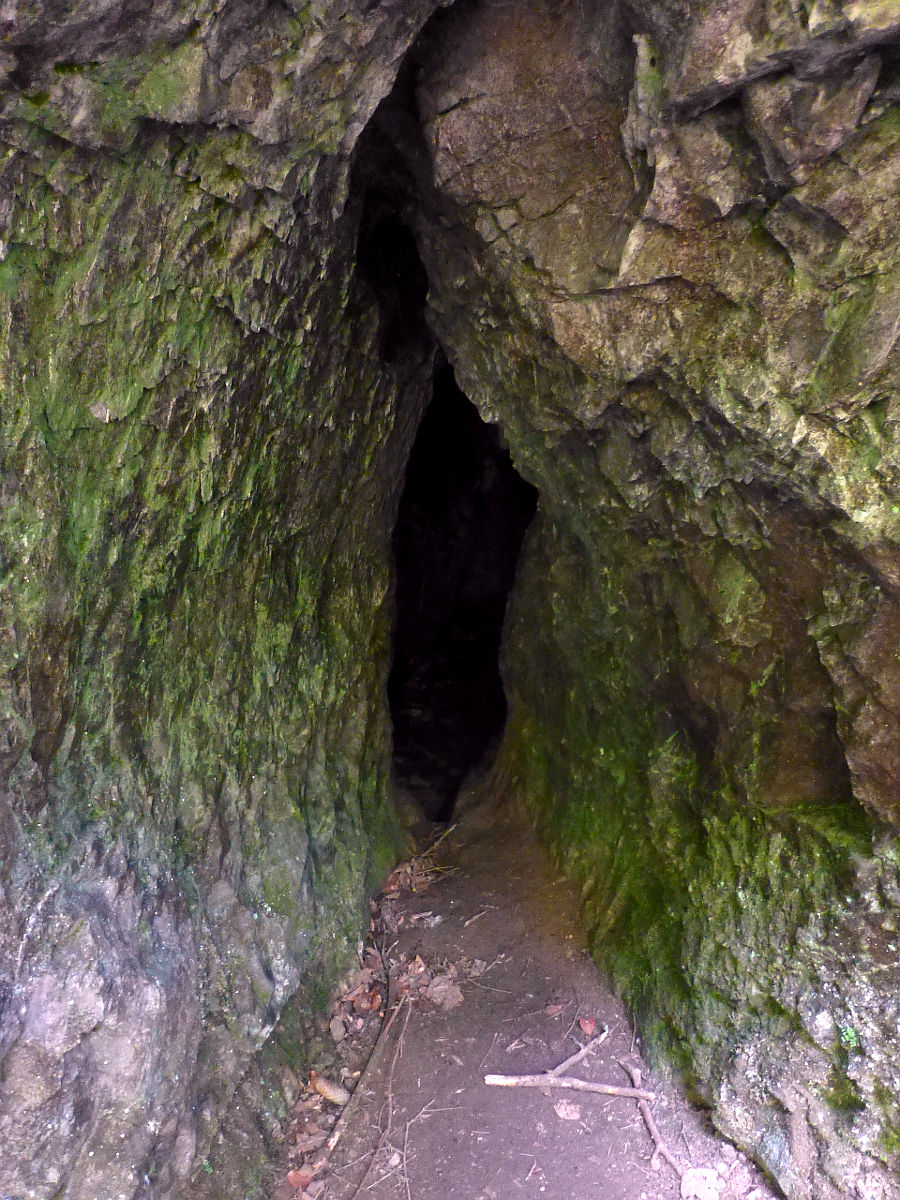 P1050011.JPG