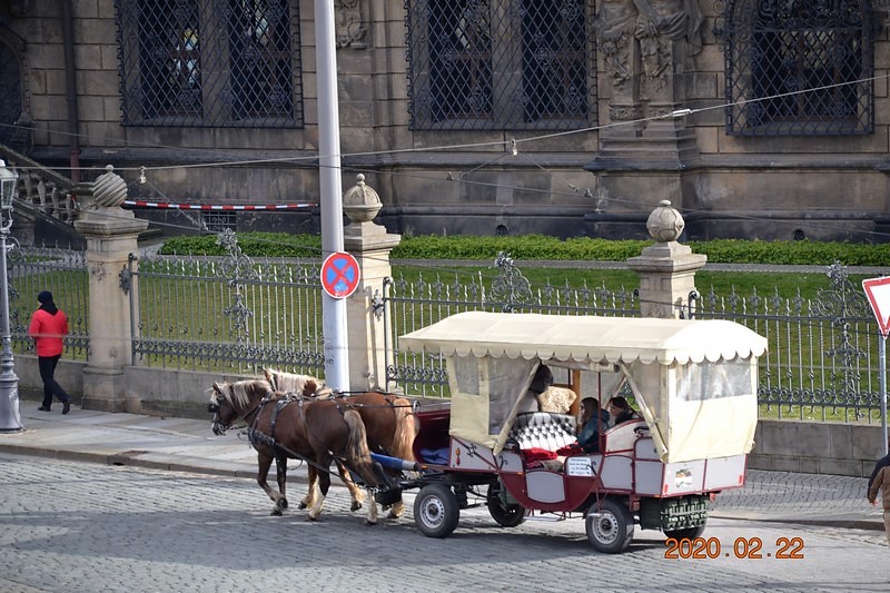 DSC_0510 (Kopiowanie).JPG