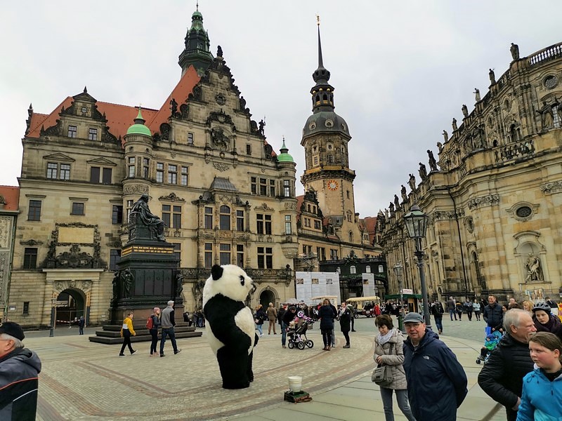 DSC_0584a (Kopiowanie).jpg