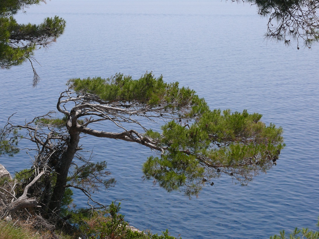 Wakacje 2015 Chorwacja 037.JPG