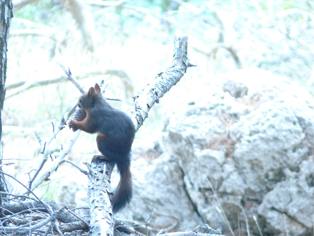 Wakacje 2015 Chorwacja 049.JPG