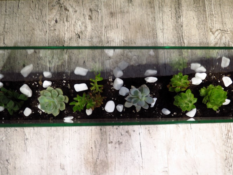 IMG_9571 (Custom).JPG