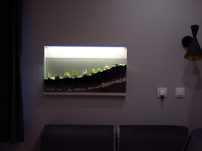 IMG_9586 (Custom).JPG