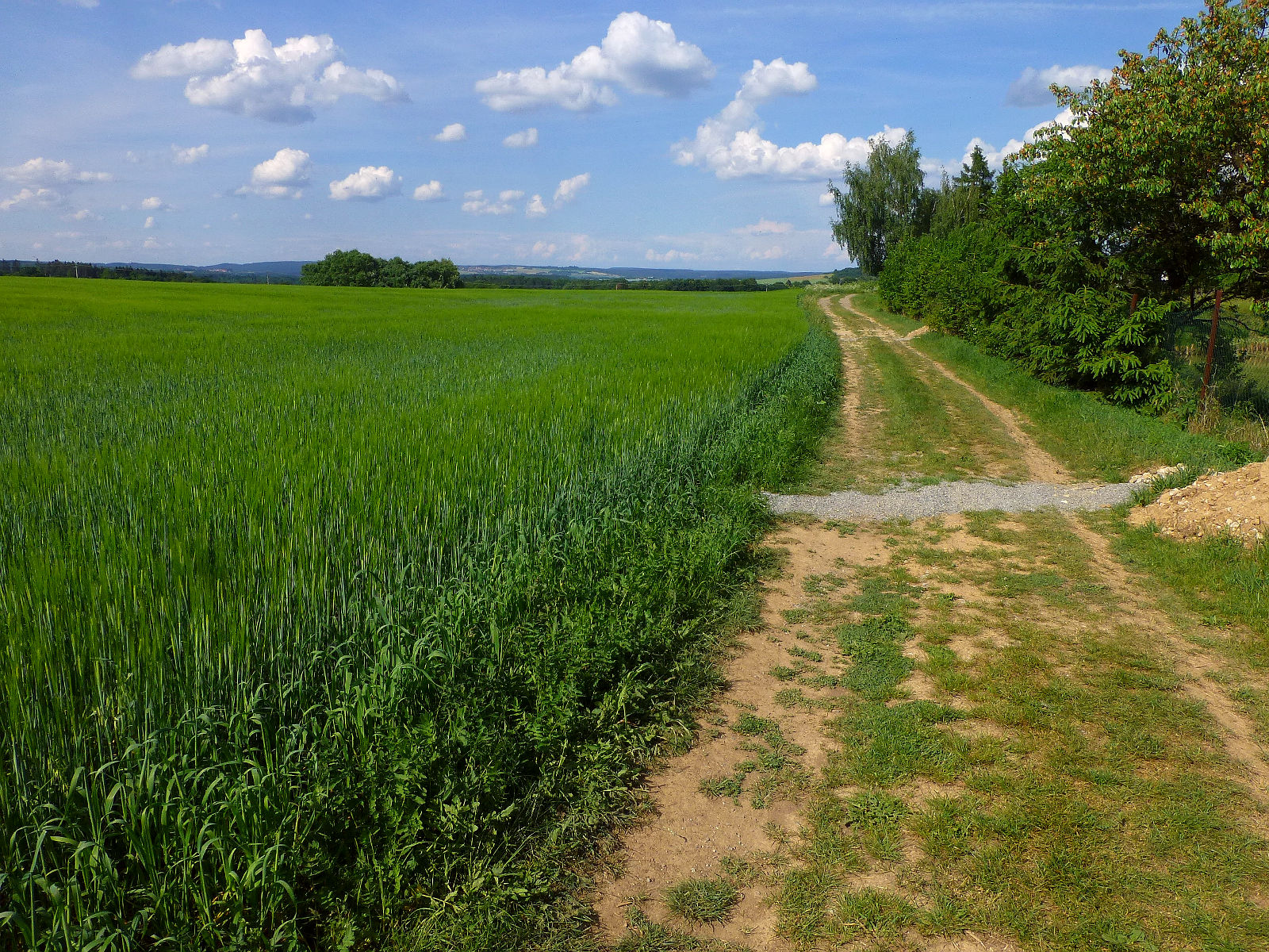 P1050028.JPG