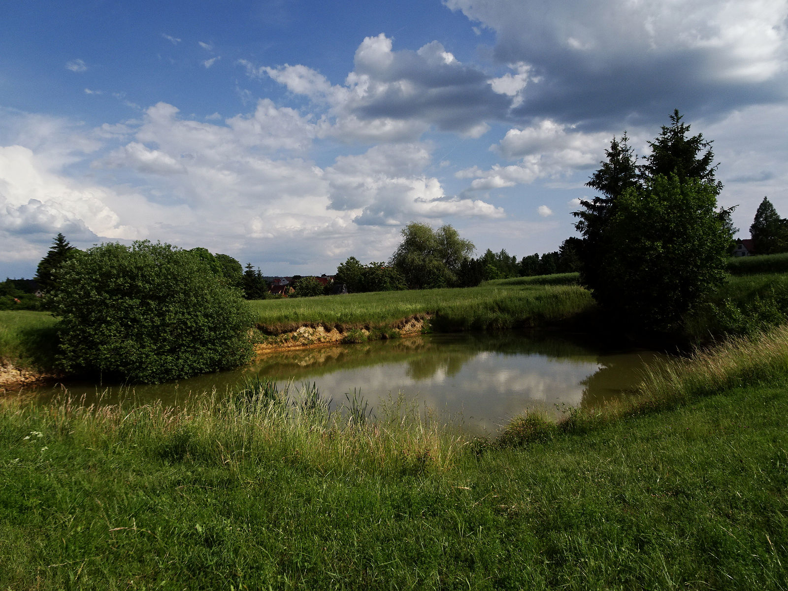 DSC06147.JPG