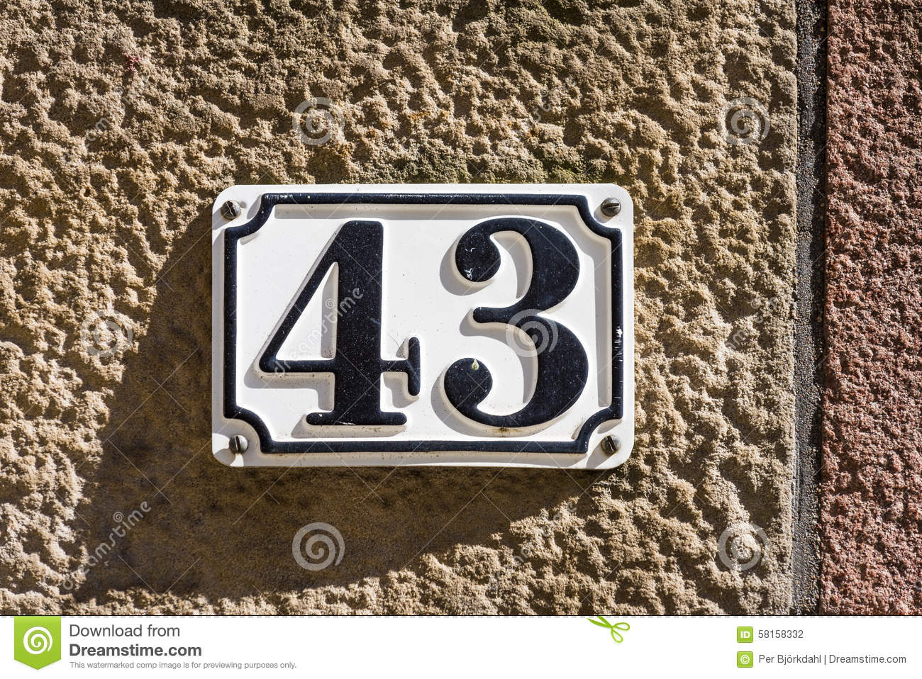 43.jpg