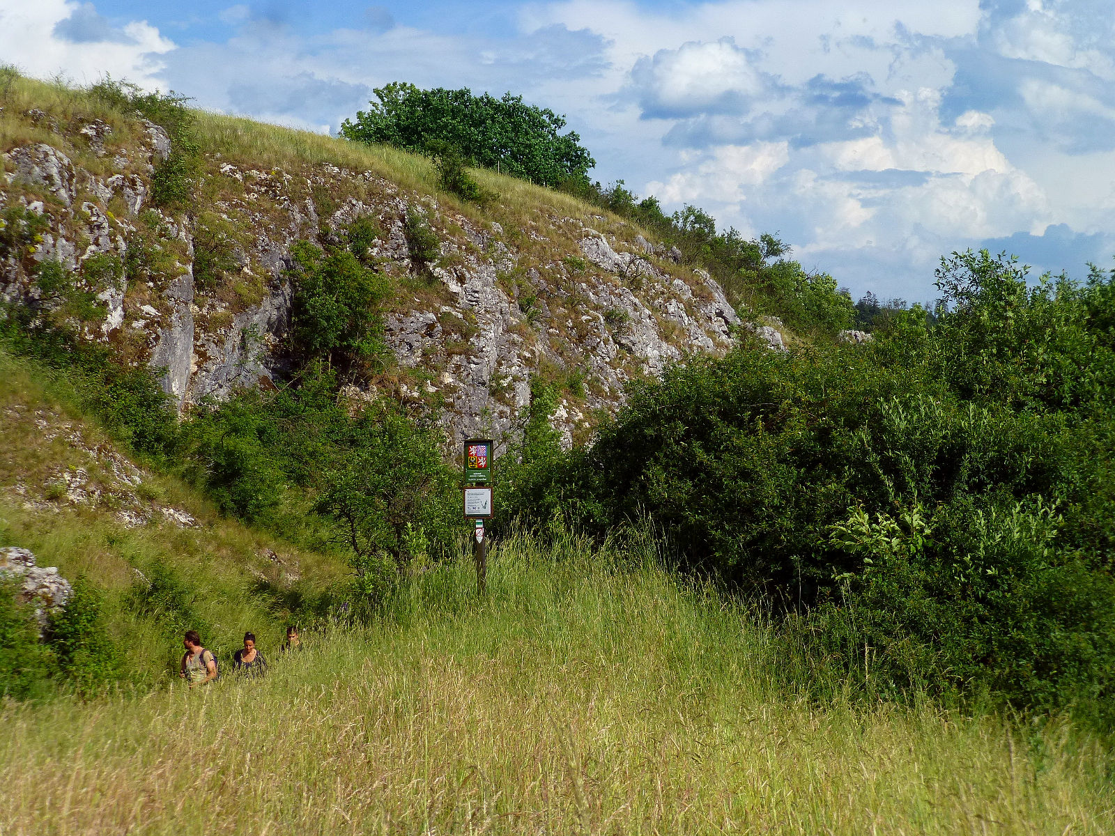 P1050034.JPG