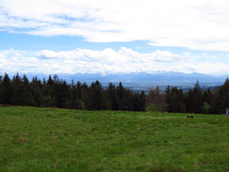 IMG_9669 (Custom).JPG